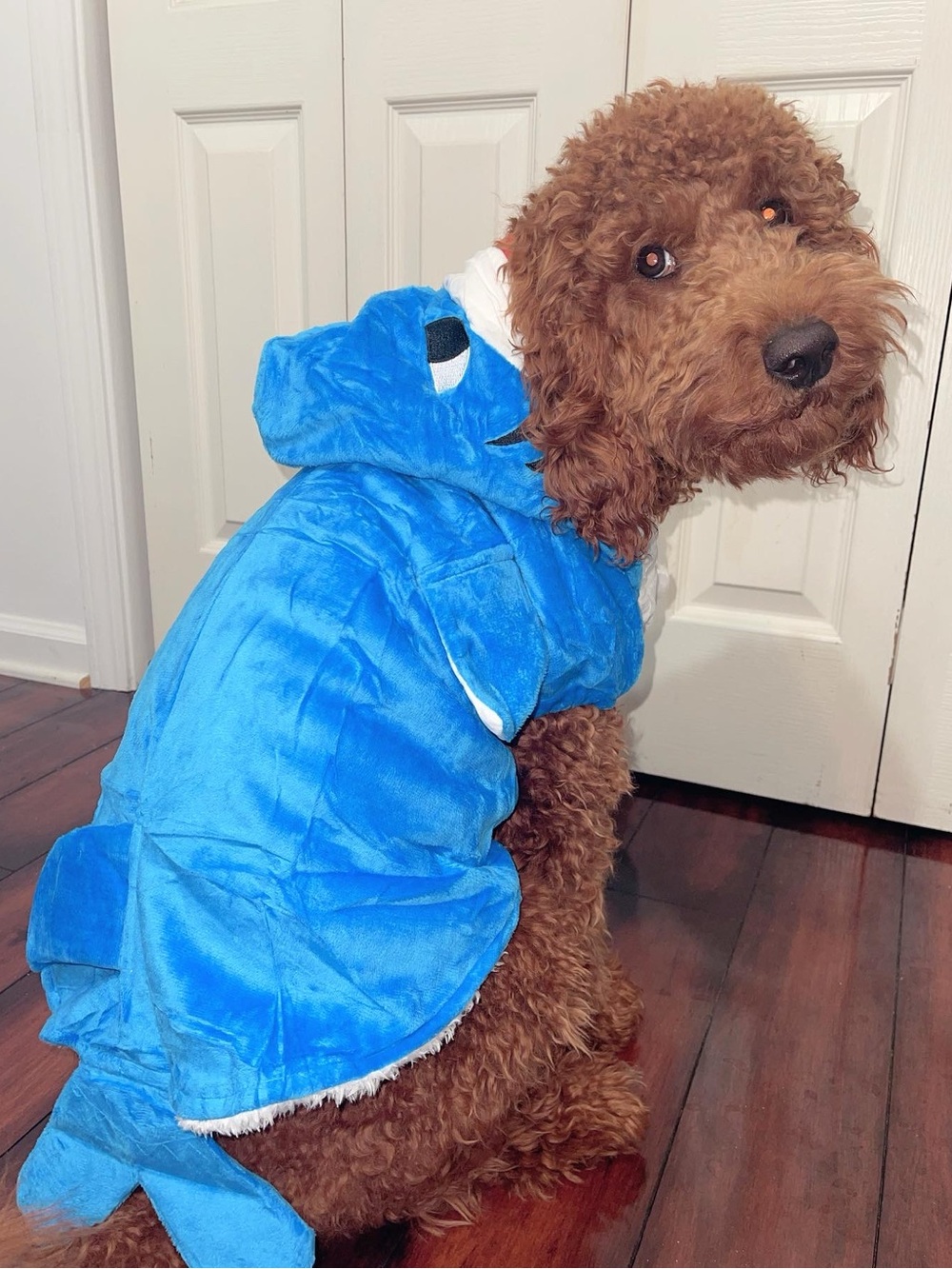 Blue Shark Pet Costume Hooded Onesie